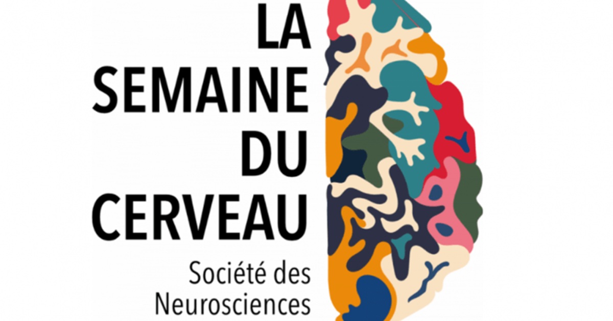 La-semaine-du-cerveau-2024